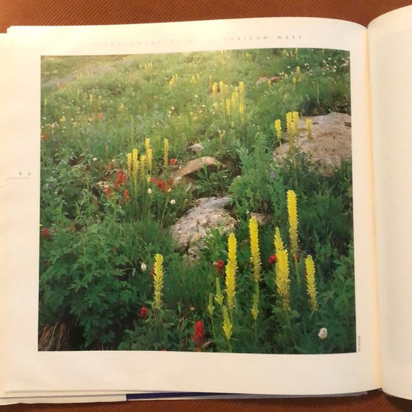 WILDFLOWERS OF THE AMERICAN WEST • HARDCOVER COFFEE TABLE BOOK - Picture 7 of 15